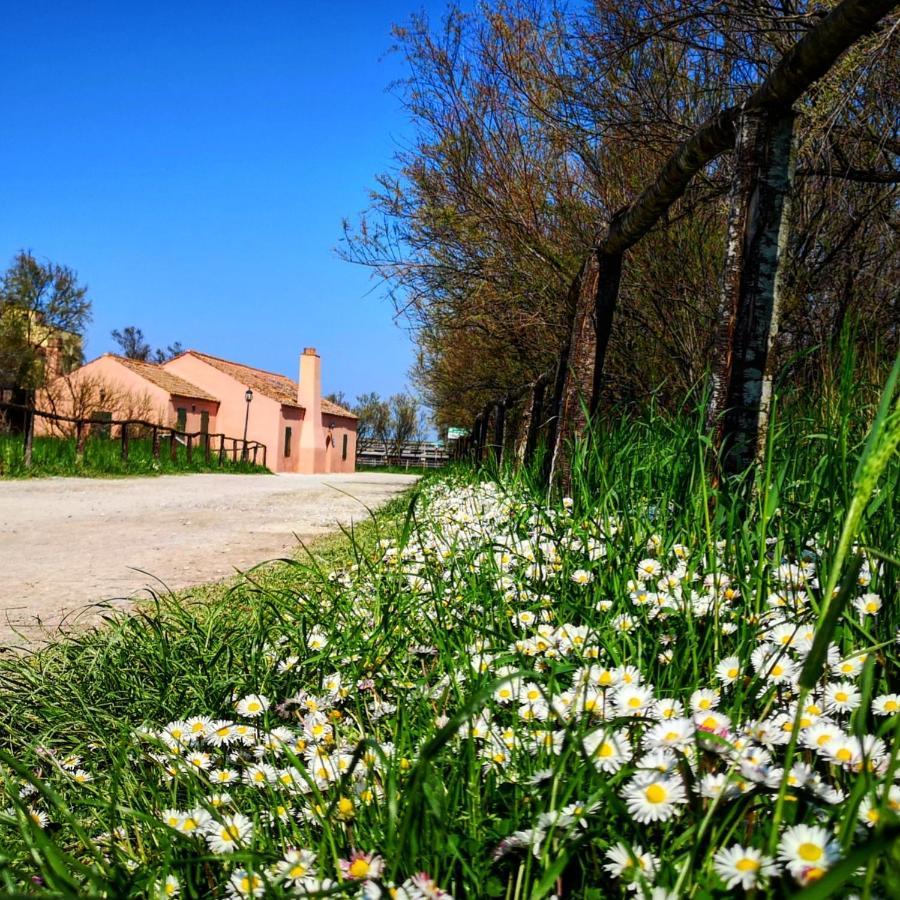 Residenza La Gallinella 코마키오 외부 사진