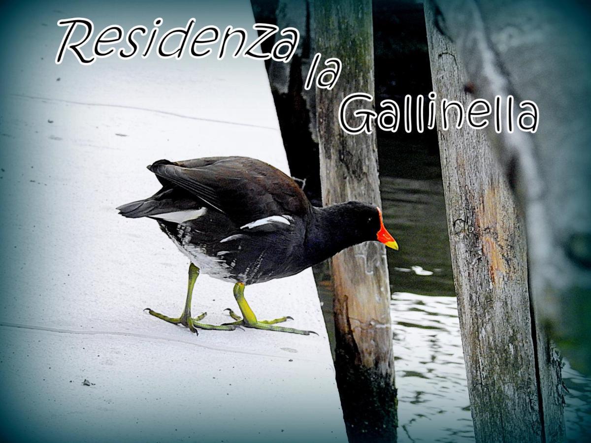 Residenza La Gallinella 코마키오 외부 사진