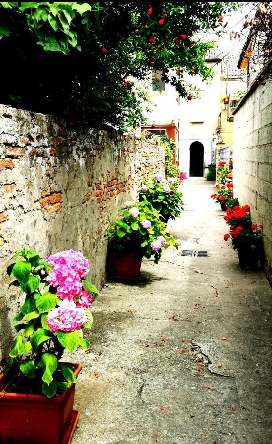 Residenza La Gallinella 코마키오 외부 사진